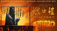 黄色代表什么意义和象征